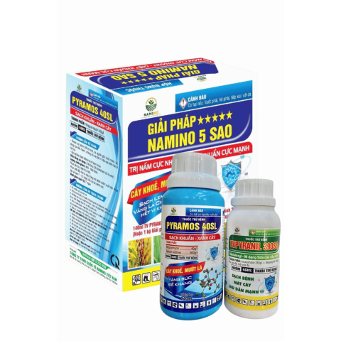 NAMINO BỘ ĐÔI 5 SAO