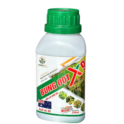 BUNG ĐỌT X9