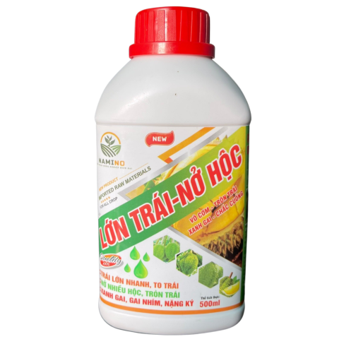 LỚN TRÁI - NỞ HỘC