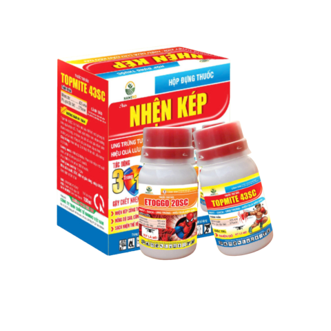 BỘ ĐÔI NHỆN KÉP 