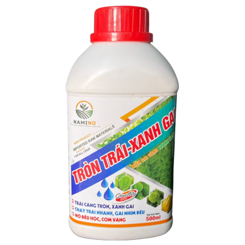 TRÒN TRÁI - XANH GAI 