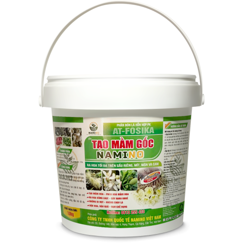 TẠO MẦM GỐC NAMINO