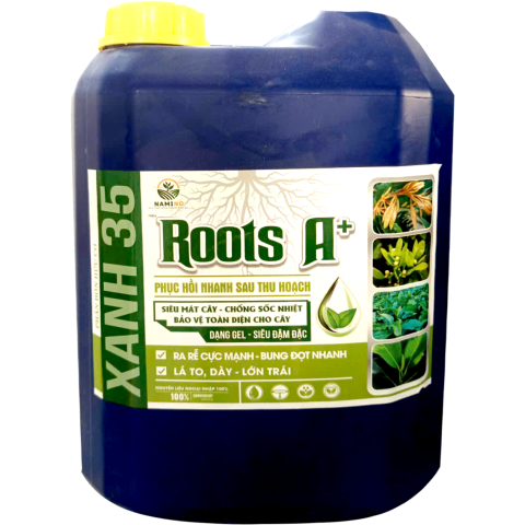 ROOTS A+