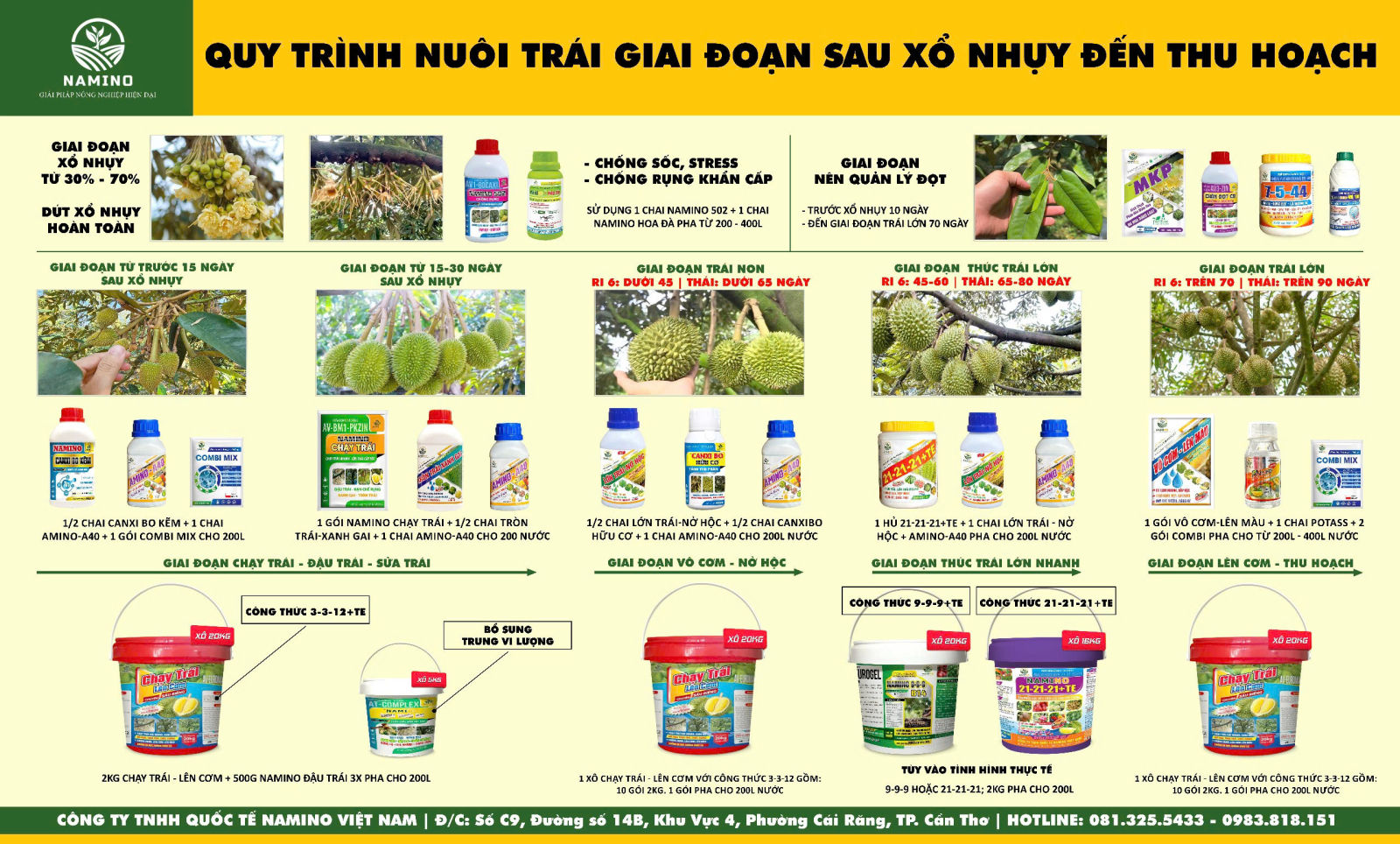 Quy trình nuôi trái sau giai đoạn xổ nhụy đến thu hoạch