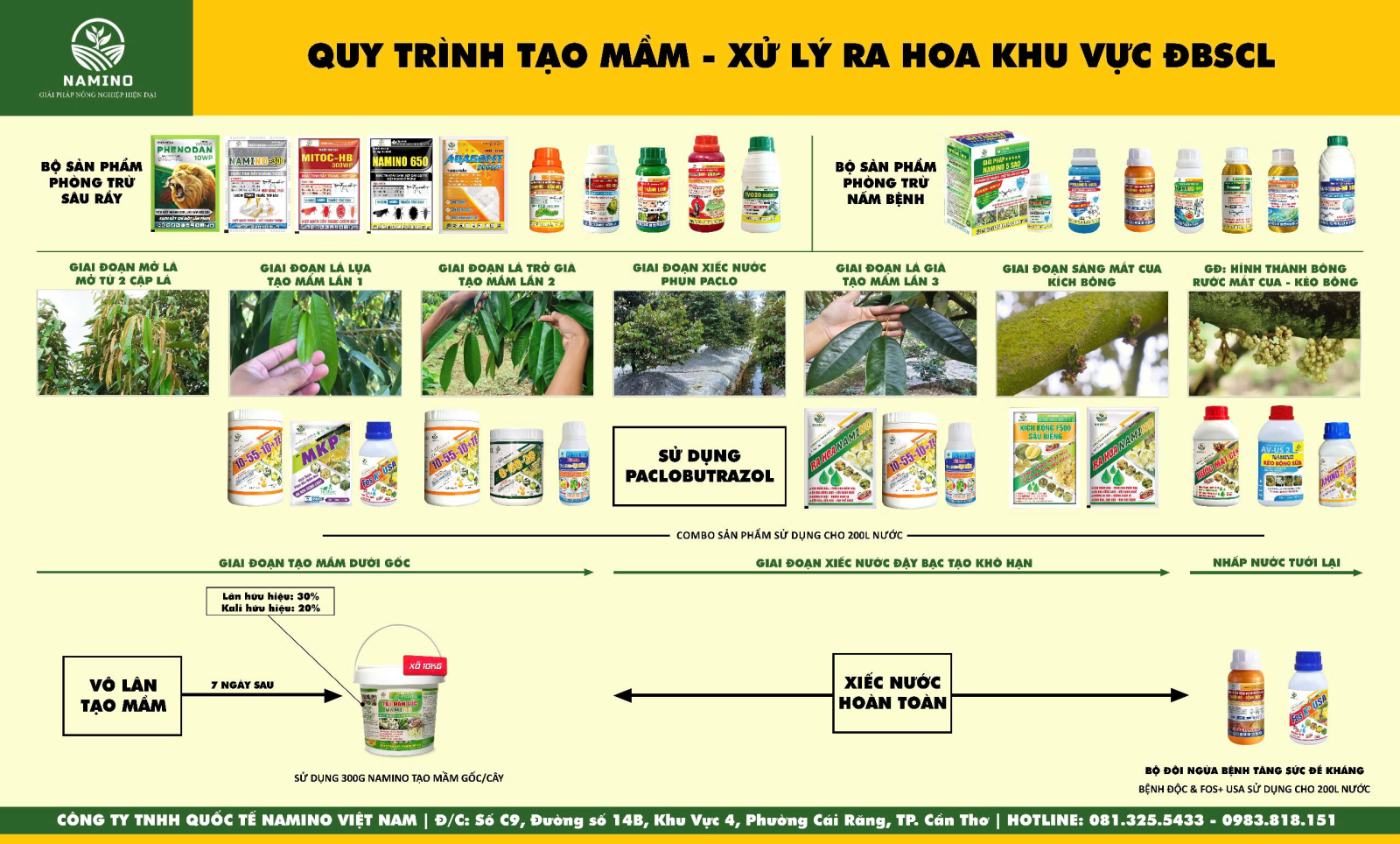 Quy trình tạo mầm - xử lý ra hoa khu vực ĐBSCL