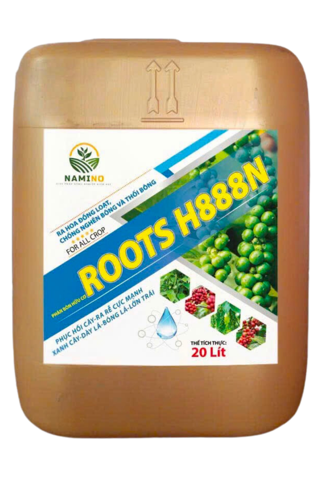 ROOTS H888N