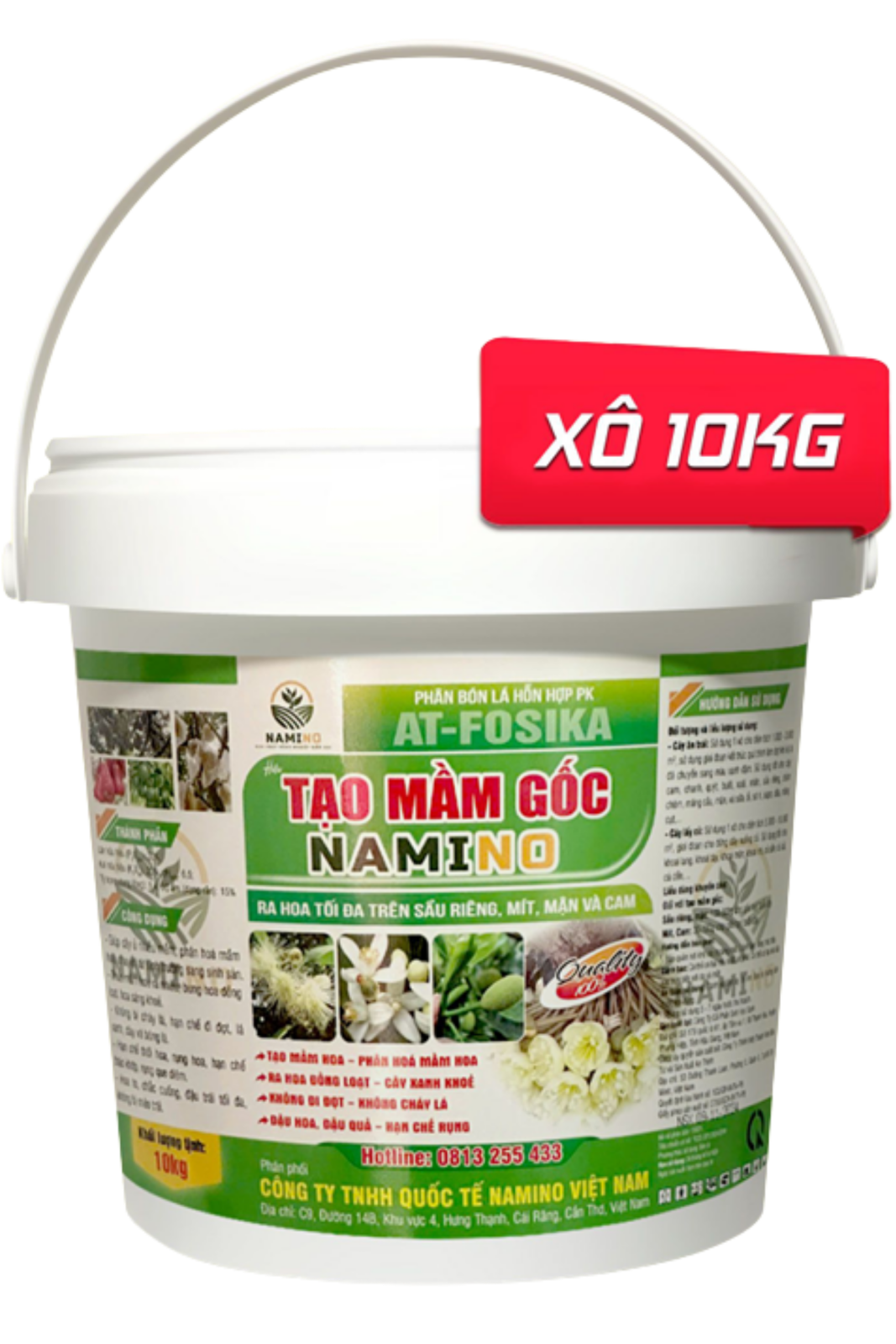 TẠO MẦM GỐC