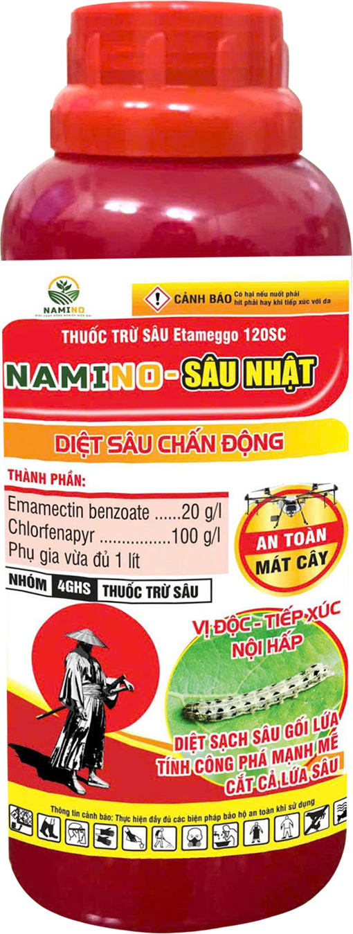 NAMINO-SÂU NHẬT